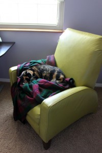 New comfy chair, quickly claimed by my cat