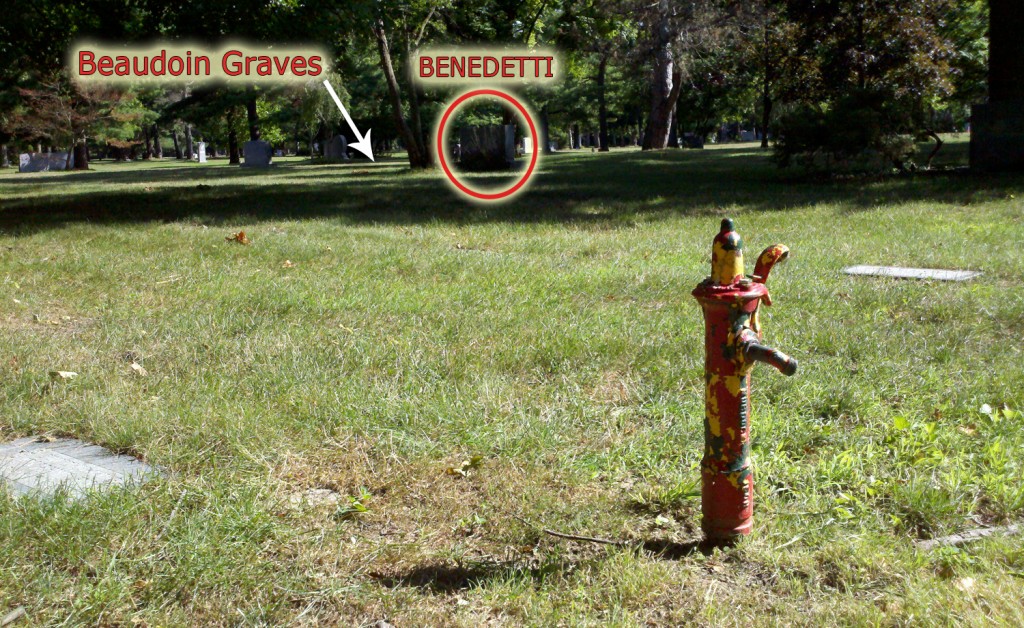 annotated photographs of the grave site from multiple angles will make it easier to find next time