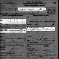 1906-10 death certificate August Schulz with sections highlighted